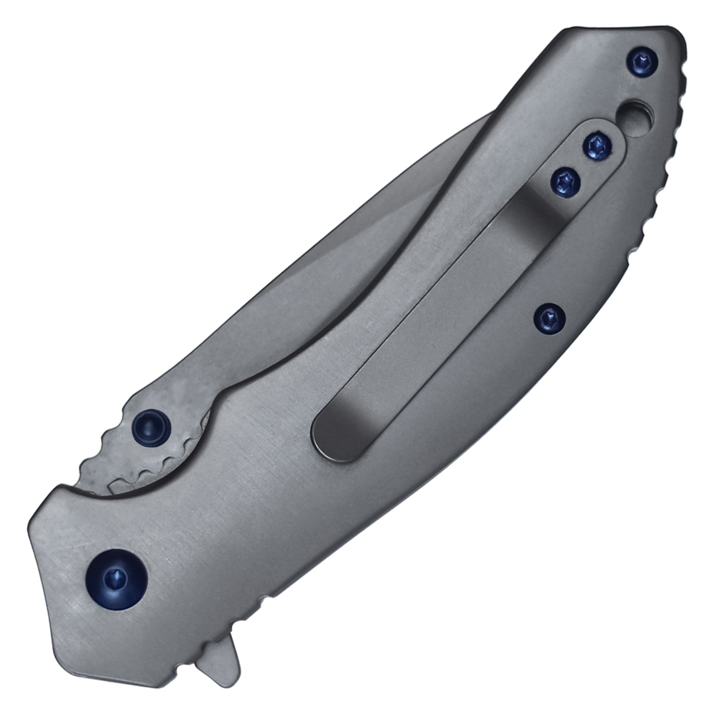 Wartech - 7.75" Skull Gray | Ball Bearing Pocket Knife
