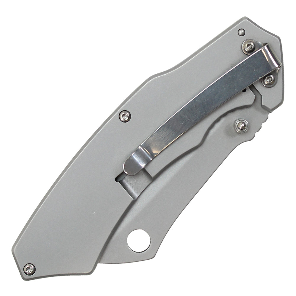8" Buckshot Thumb Open Spring Assisted Stainless Steel Handle With Inlay Classic Razor Pocket Knife